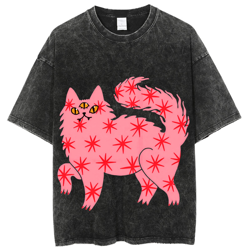 Three Eyes Cat Solid Unisex Vintage Washed Tee