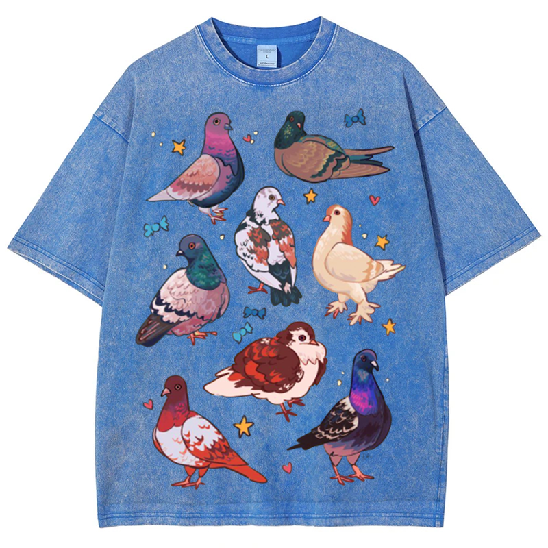 Colorful Pigeons Solid Unisex Vintage Washed Tee