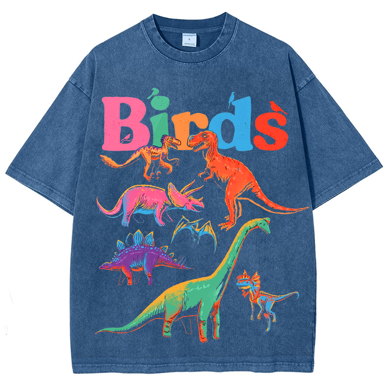 Colorful Dinosaur Solid Unisex Vintage Washed Tee