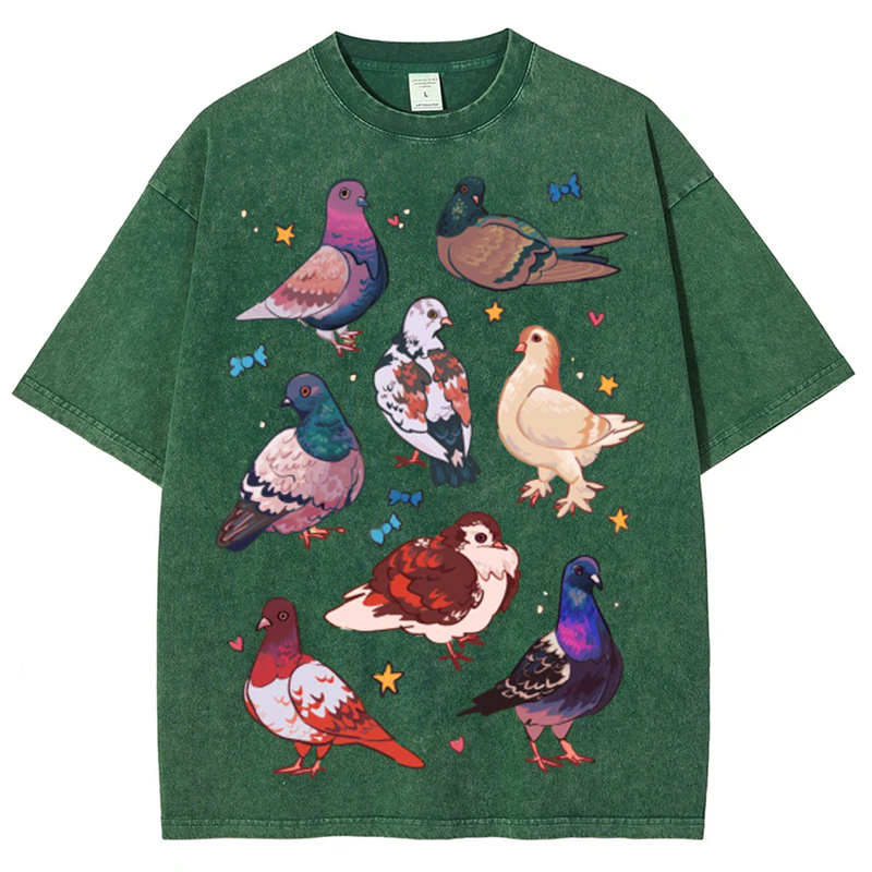 Colorful Pigeons Solid Unisex Vintage Washed Tee