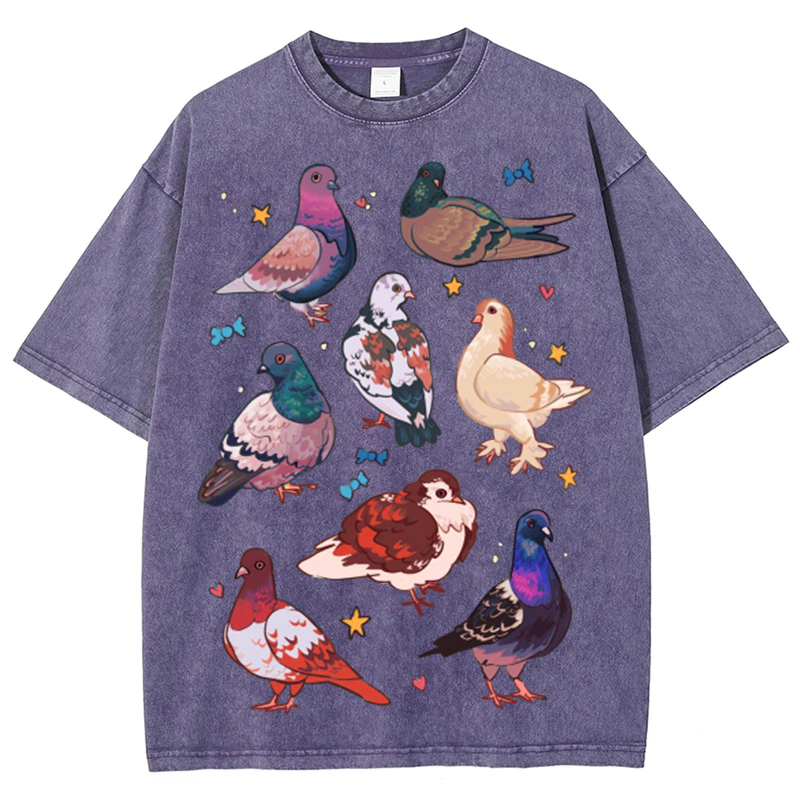 Colorful Pigeons Solid Unisex Vintage Washed Tee