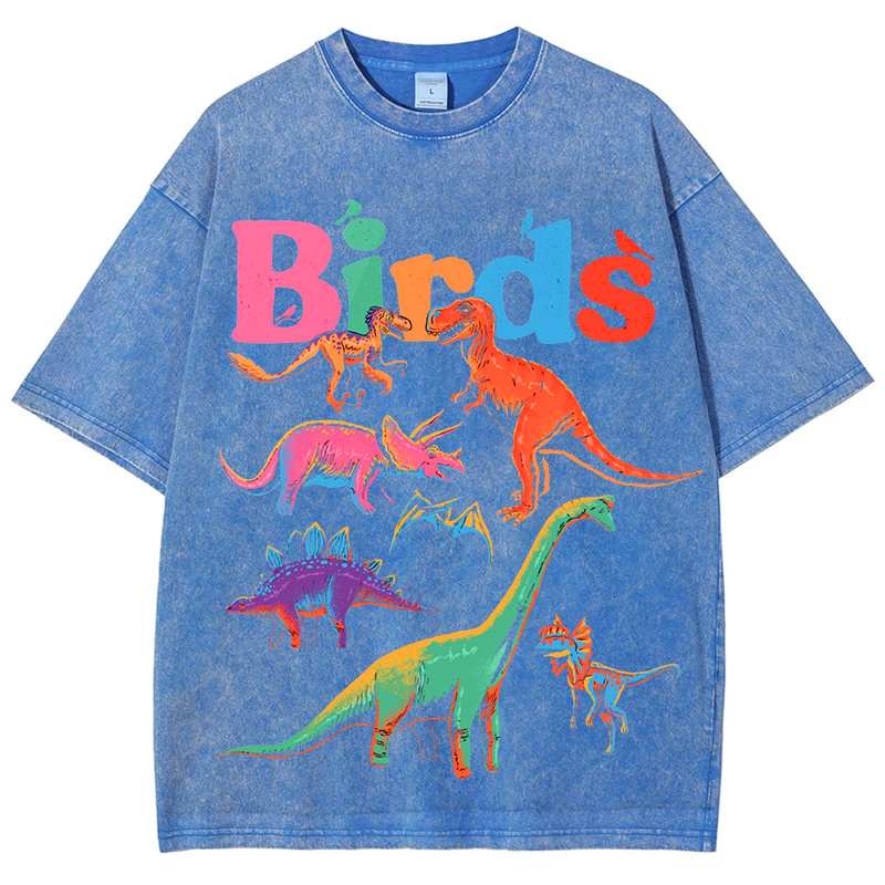 Colorful Dinosaur Solid Unisex Vintage Washed Tee