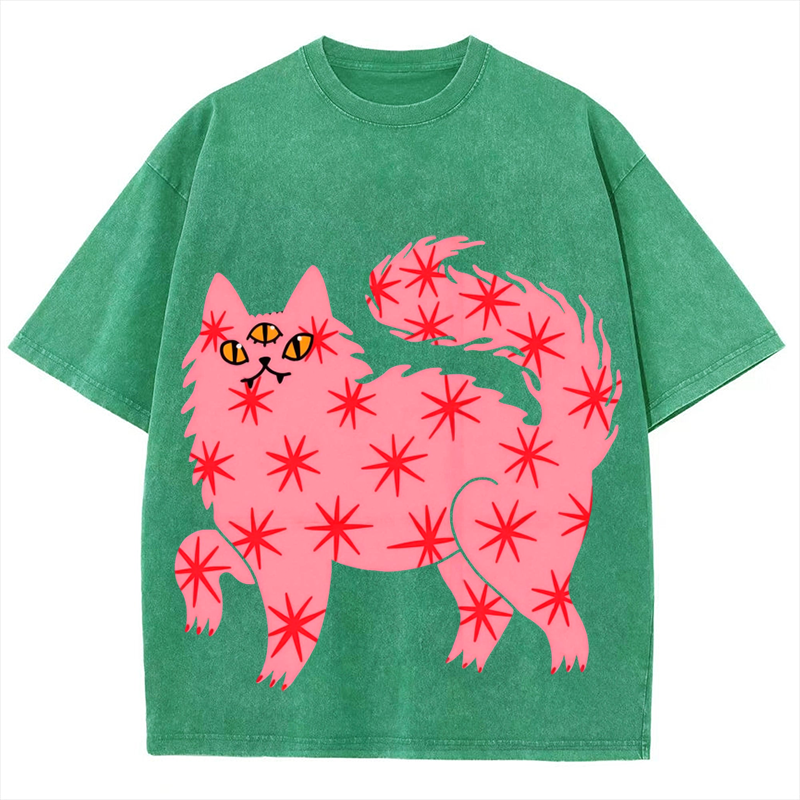 Three Eyes Cat Solid Unisex Vintage Washed Tee