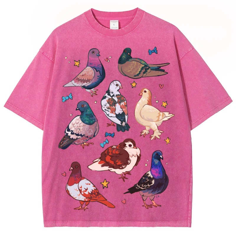 Colorful Pigeons Solid Unisex Vintage Washed Tee