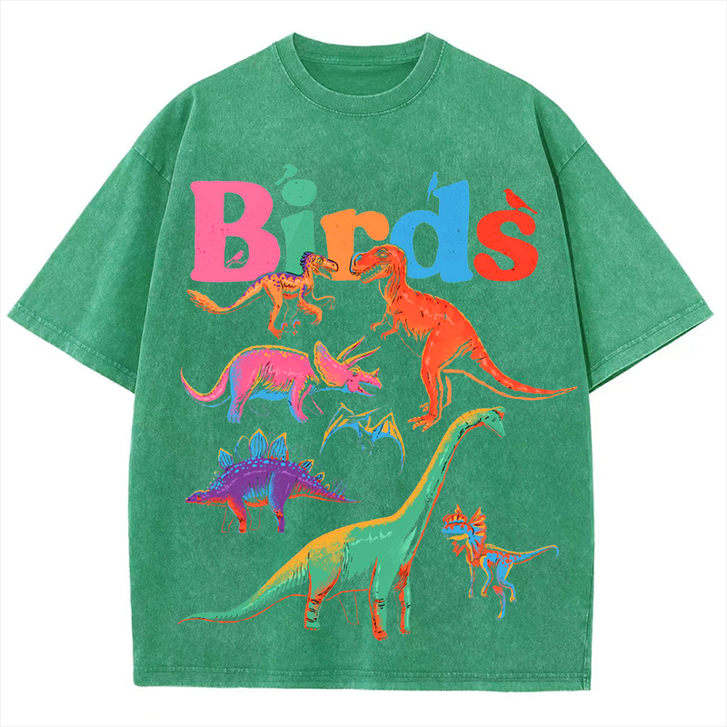 Colorful Dinosaur Solid Unisex Vintage Washed Tee