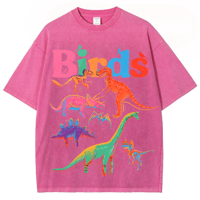 Colorful Dinosaur Solid Unisex Vintage Washed Tee