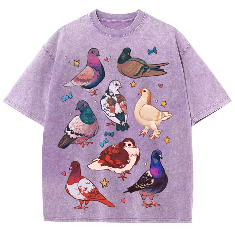 Colorful Pigeons Solid Unisex Vintage Washed Tee