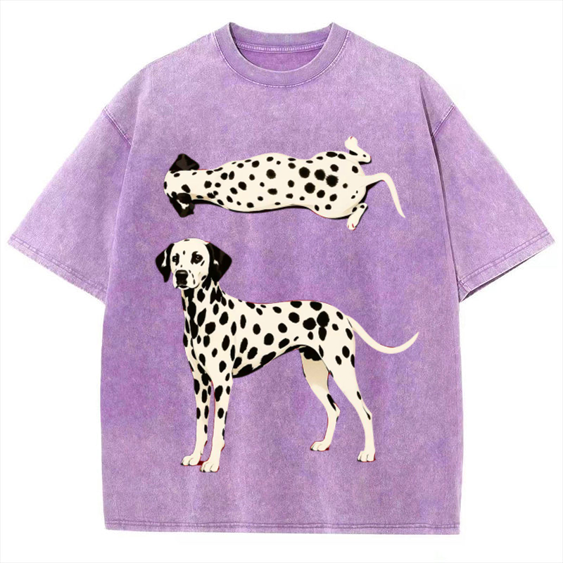 Spotted Dog Solid Unisex Vintage Washed Tee