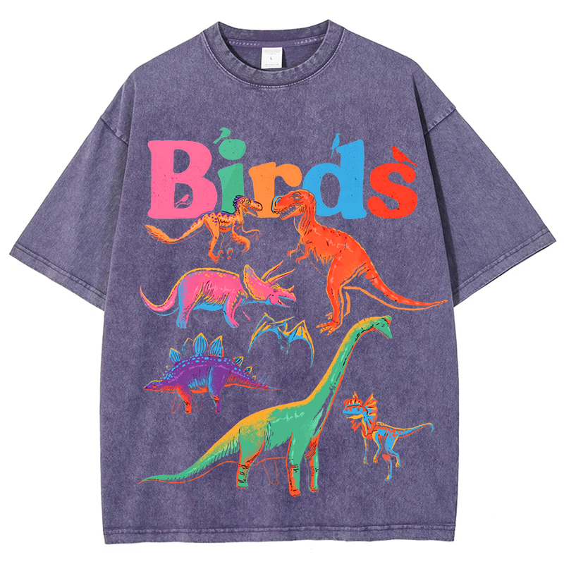Colorful Dinosaur Solid Unisex Vintage Washed Tee