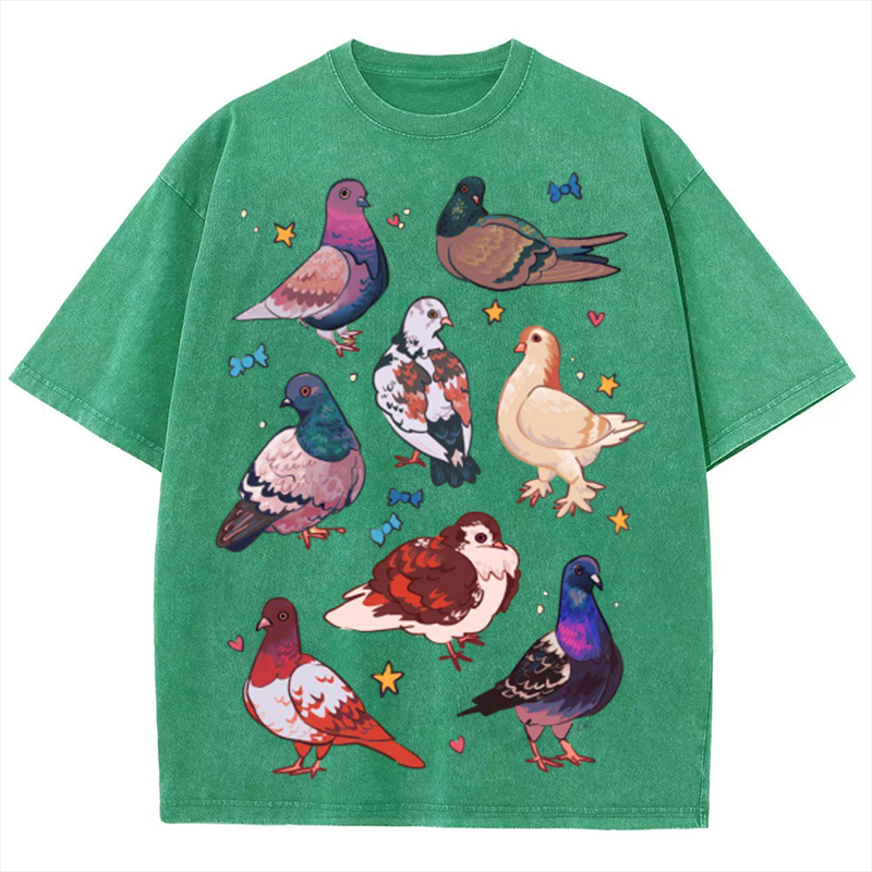 Colorful Pigeons Solid Unisex Vintage Washed Tee