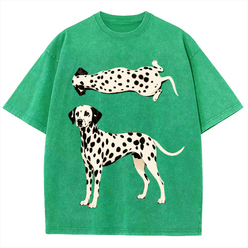 Spotted Dog Solid Unisex Vintage Washed Tee