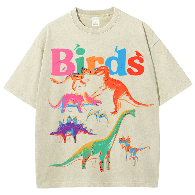 Colorful Dinosaur Solid Unisex Vintage Washed Tee